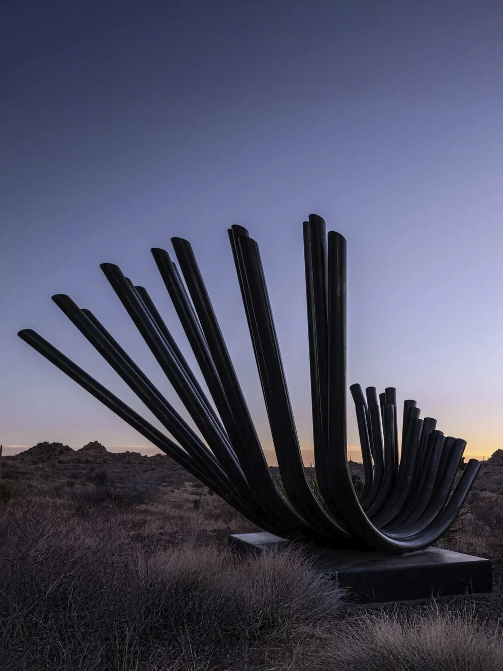 X•SL•Diffracted Symphony.jpg