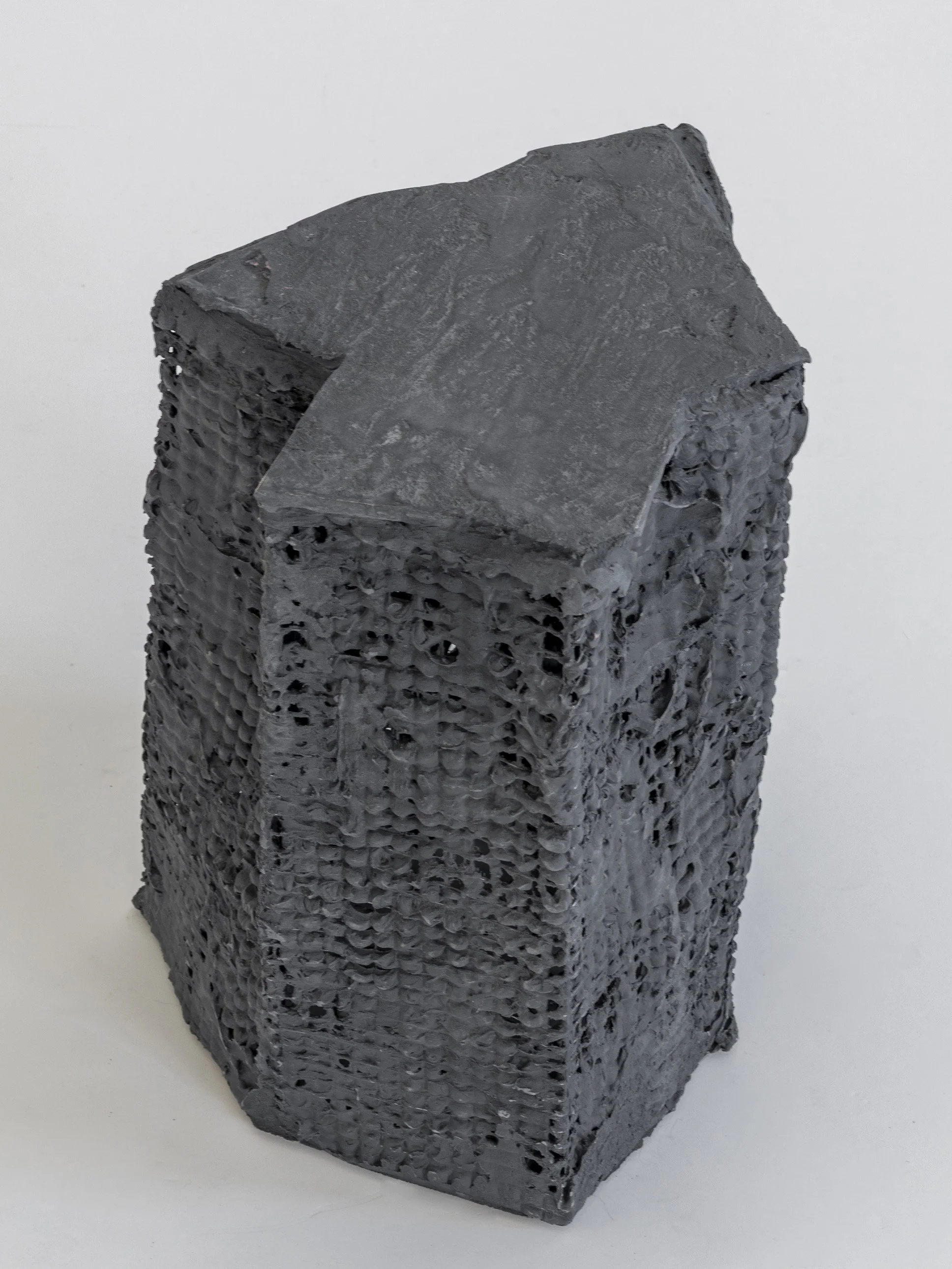 X•SL•Mycelia•03•Moon Ash (1).jpg