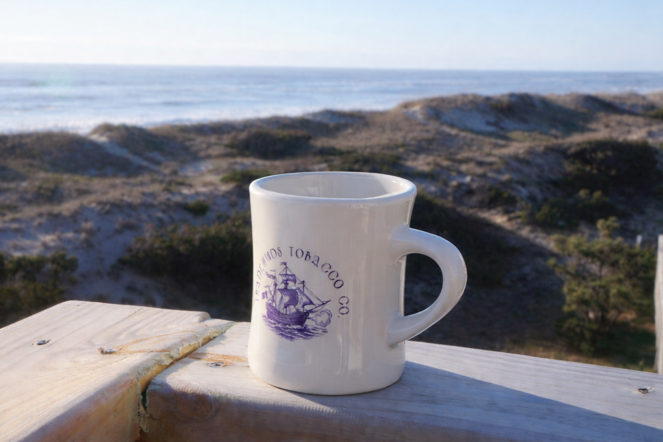 TradewindsMugBeachPic.png