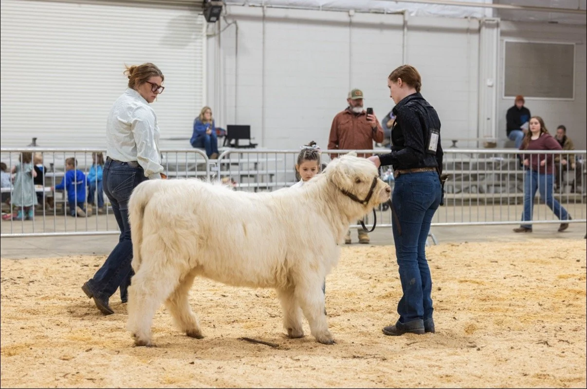 Eastern Shore Spring Show