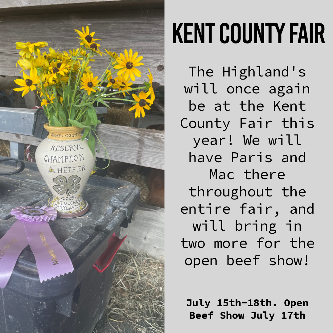 Kent County Fair