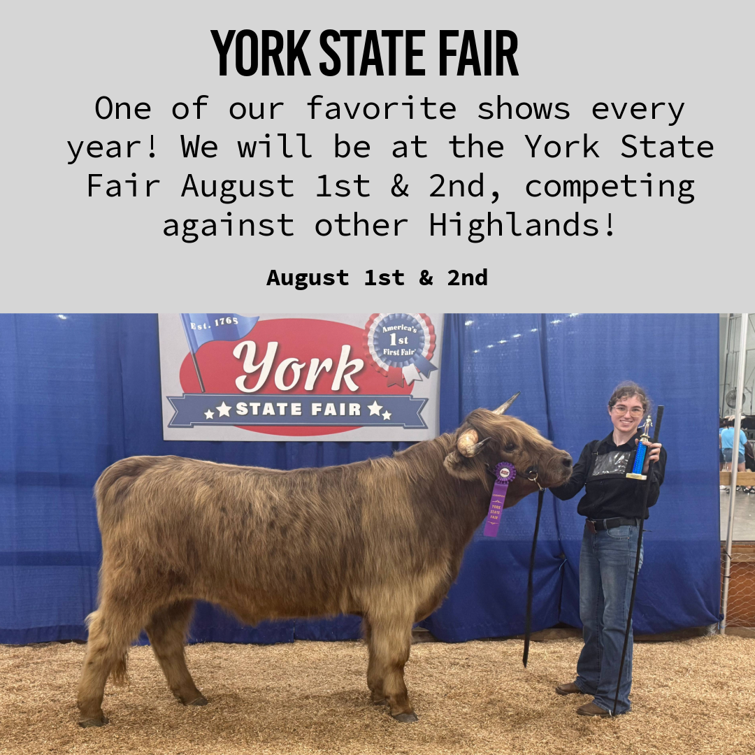 York State Fair