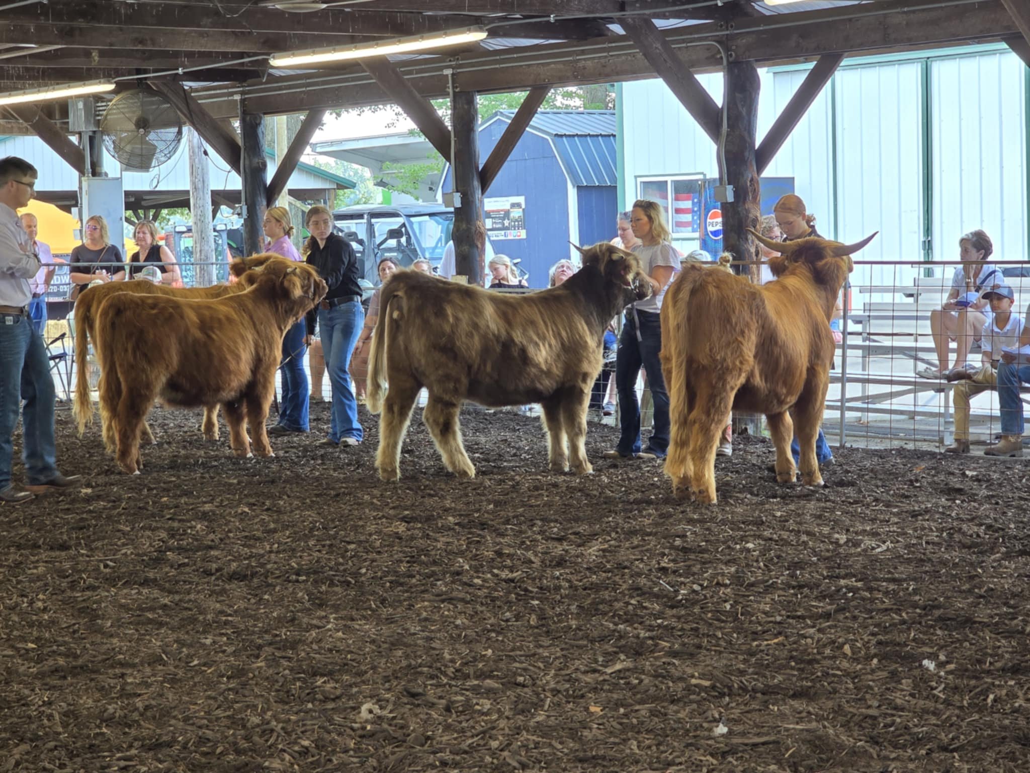 Queen Anne's County Fair