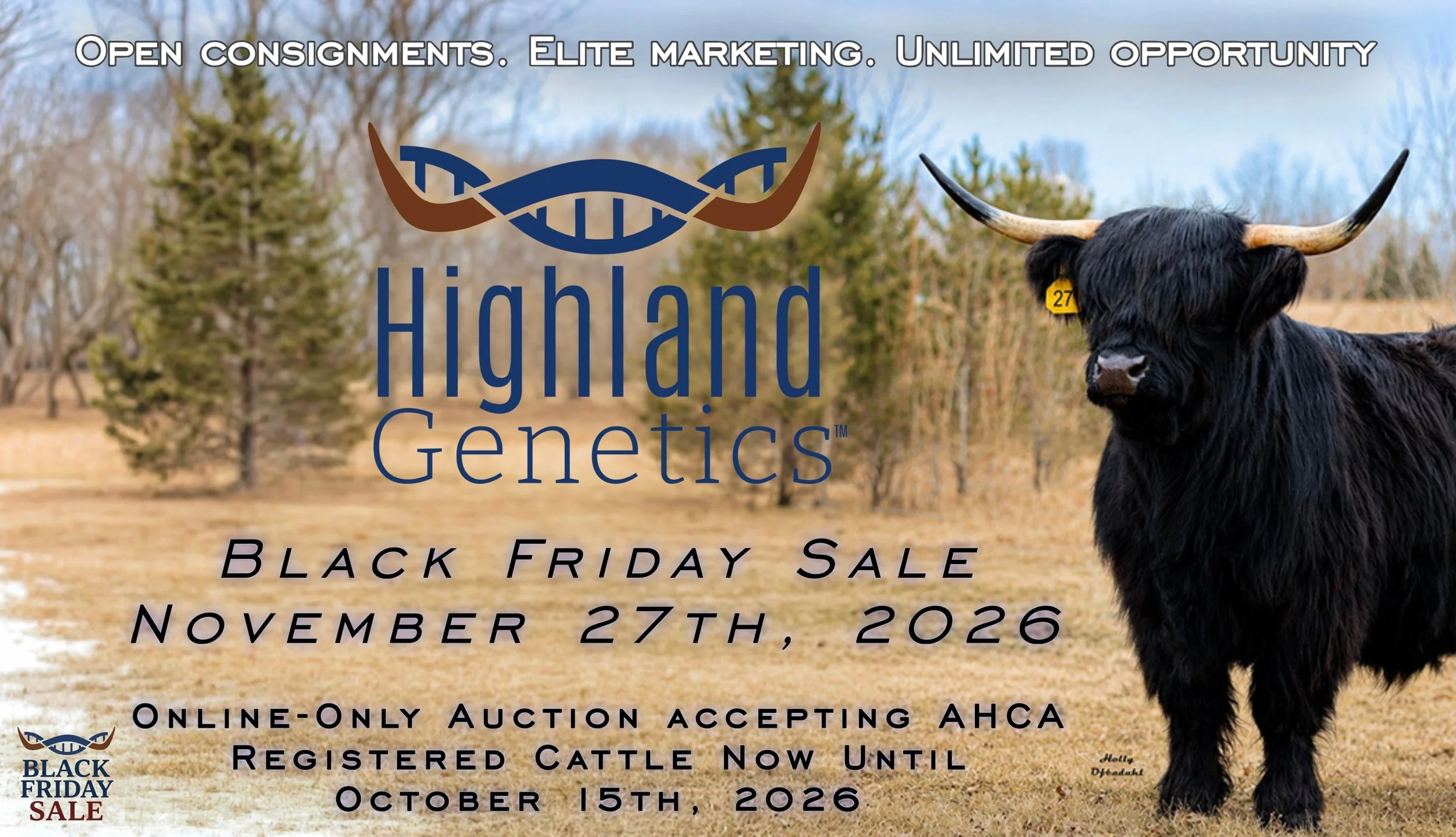 Highland Genetics Black Friday Sale