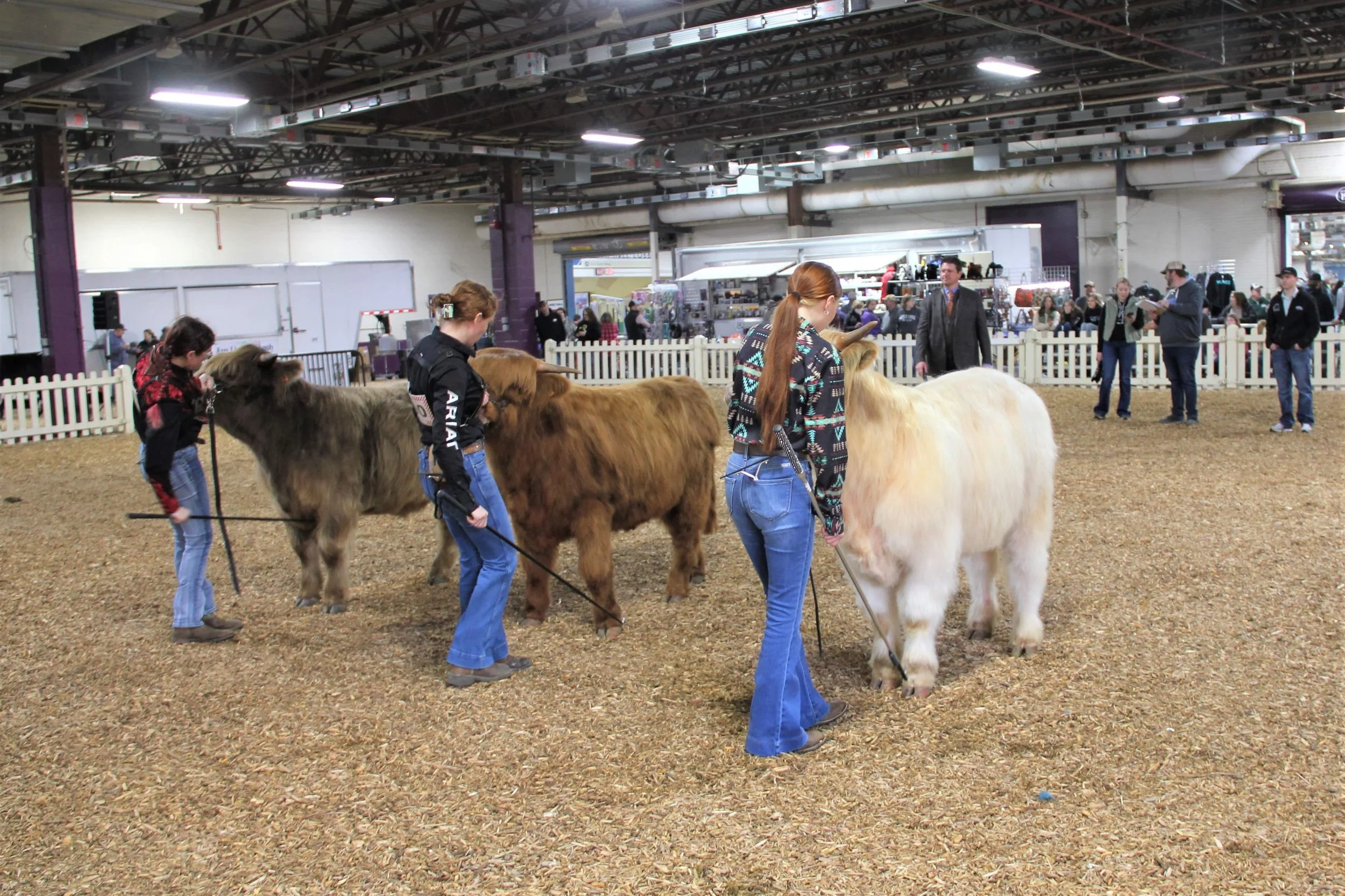 Mid Atlantic Beef Classic 2024