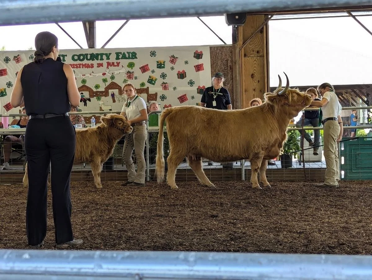 Kent County Fair 2024