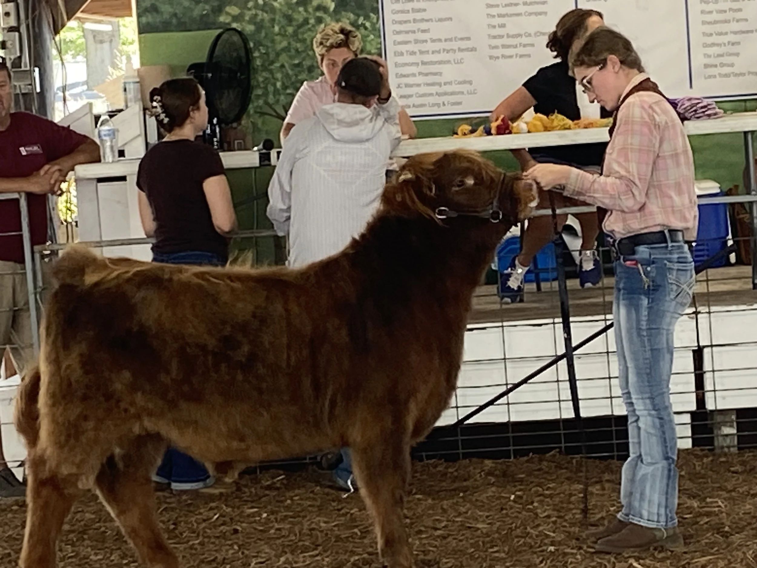 Queen Annes County Fair 2024
