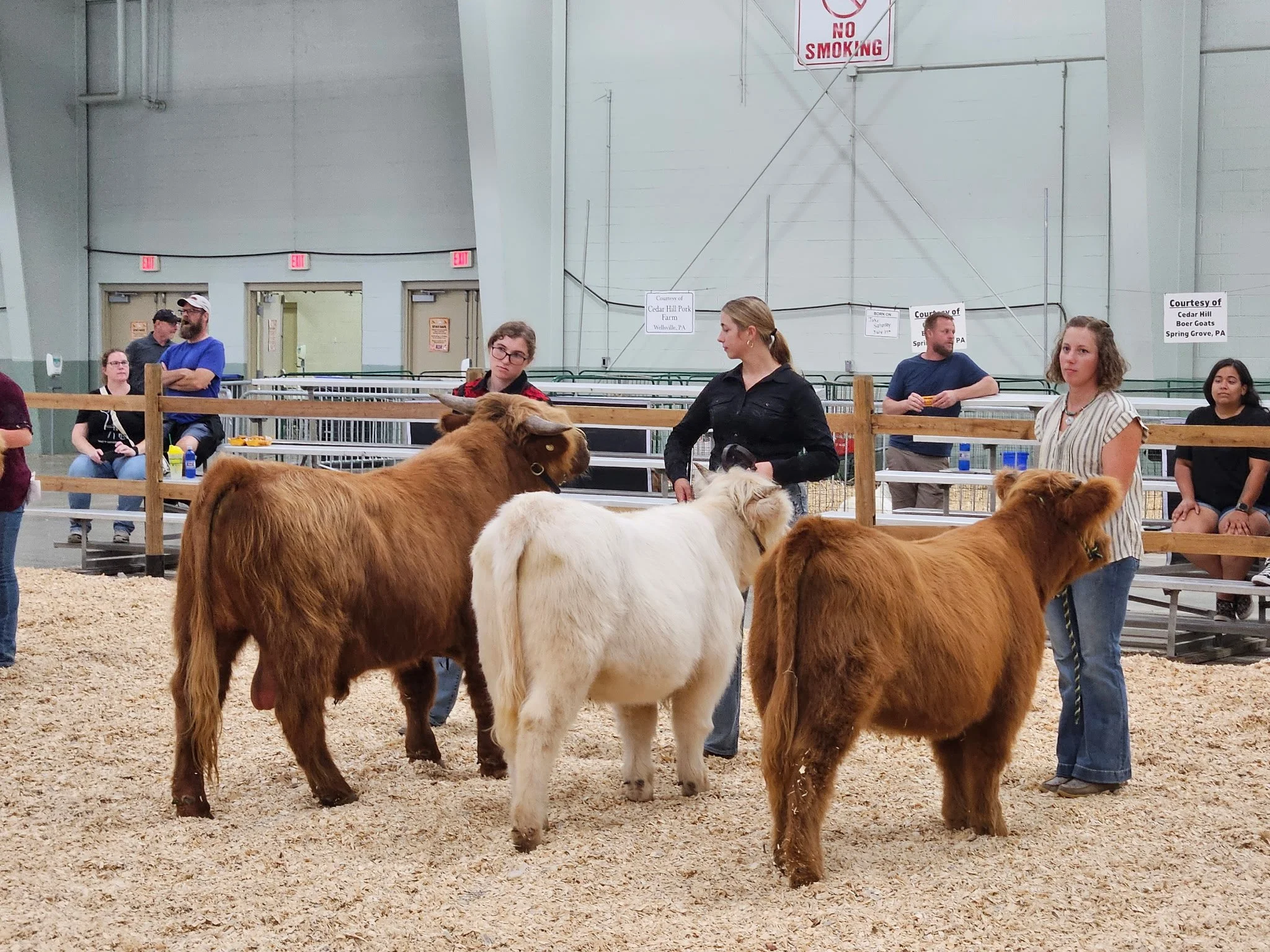 York State Fair 2026