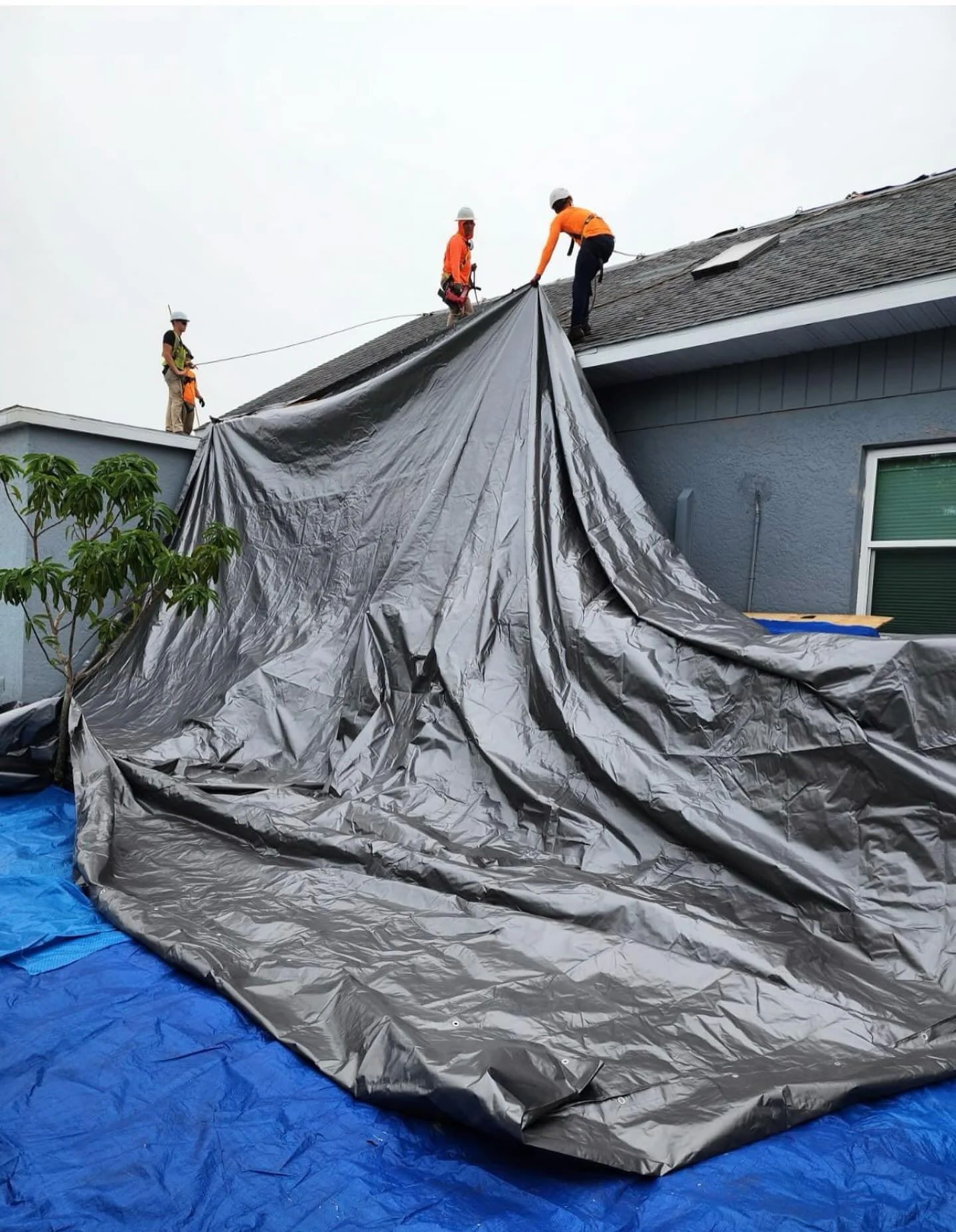 Bought a big tarp. That is all.