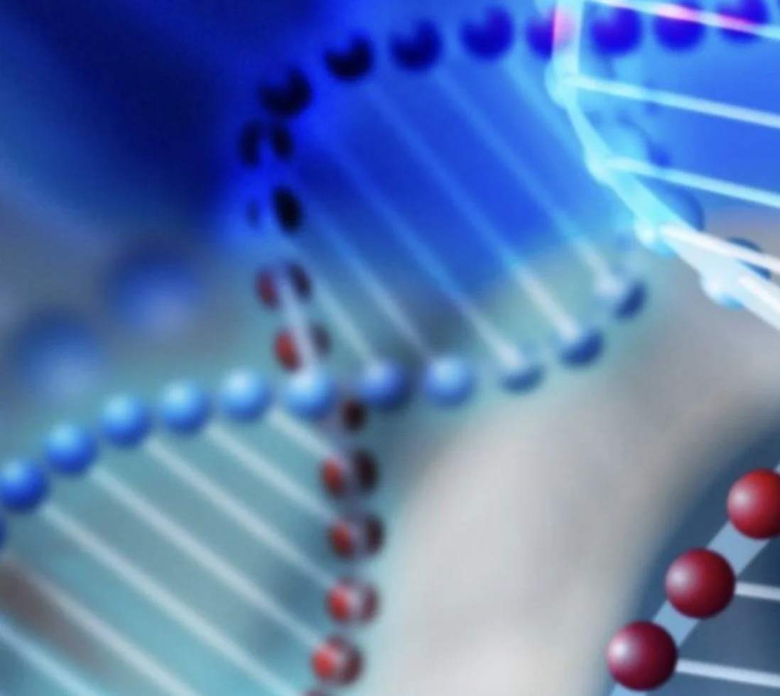 The AQA Essay: A-Level