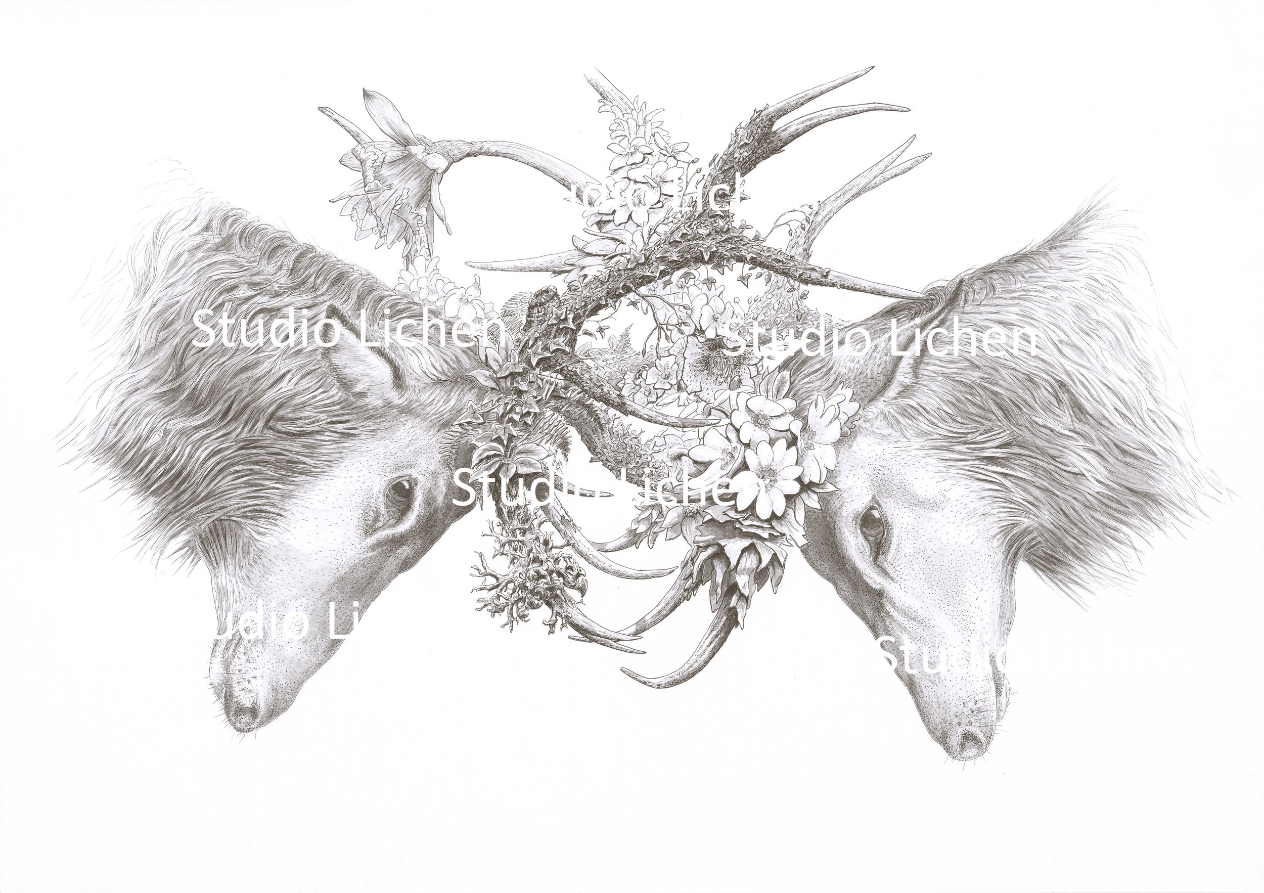 Crossing the Threshold