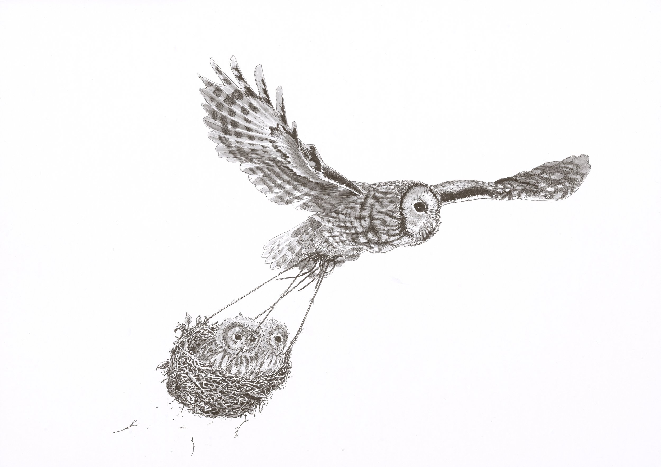 Silence Between Worlds