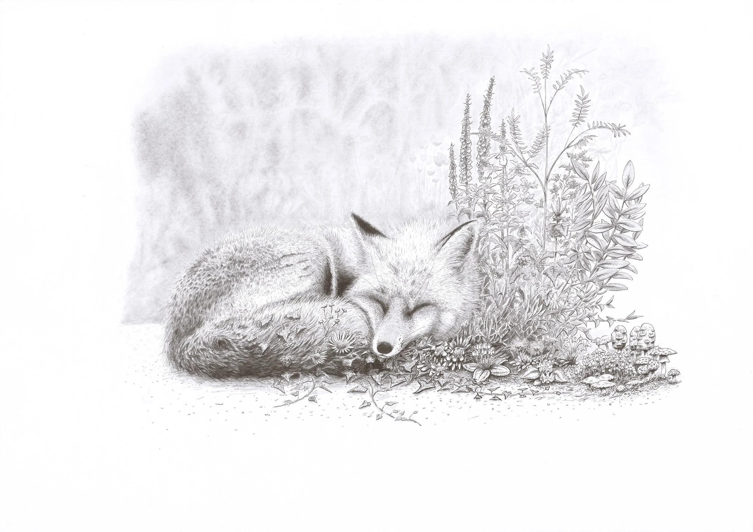 The Moonlit Fox