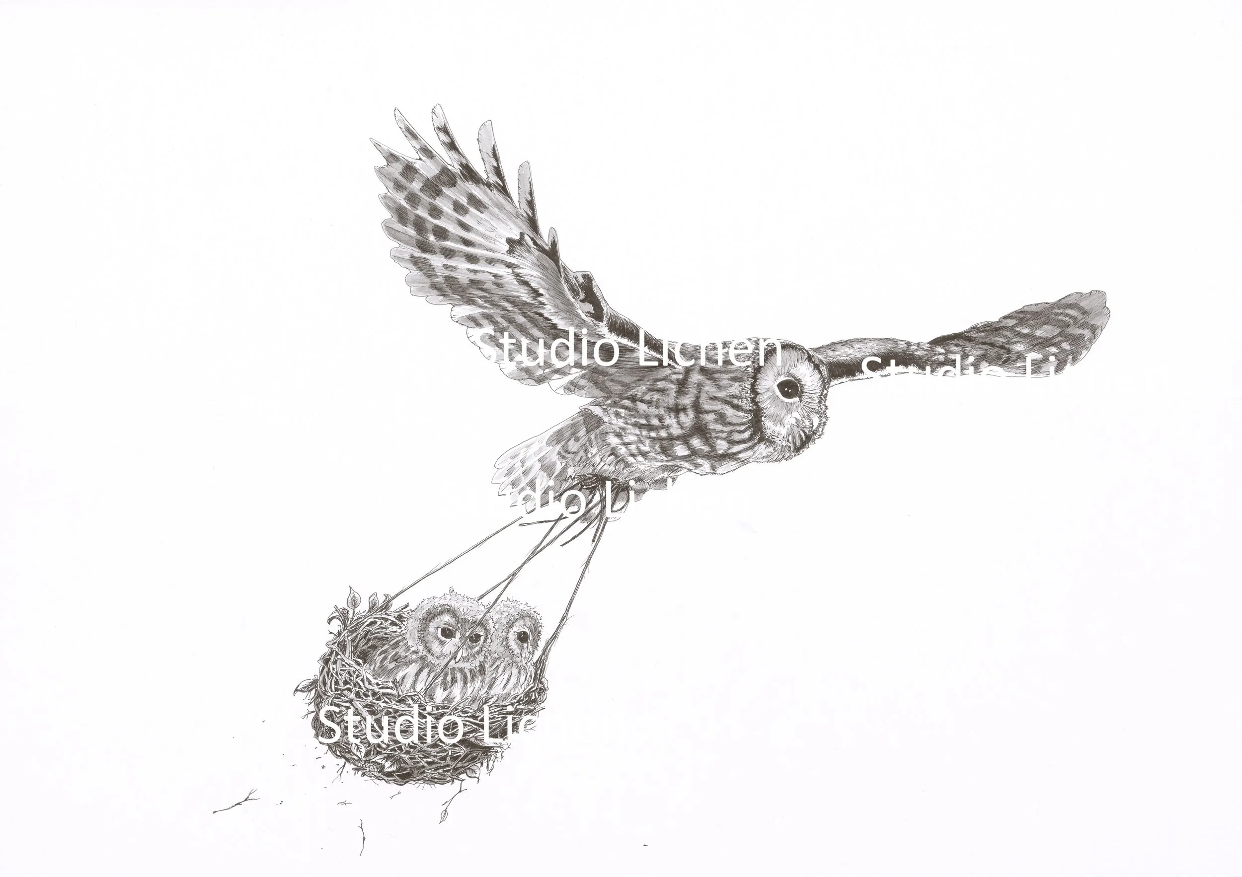 Silence Between Worlds