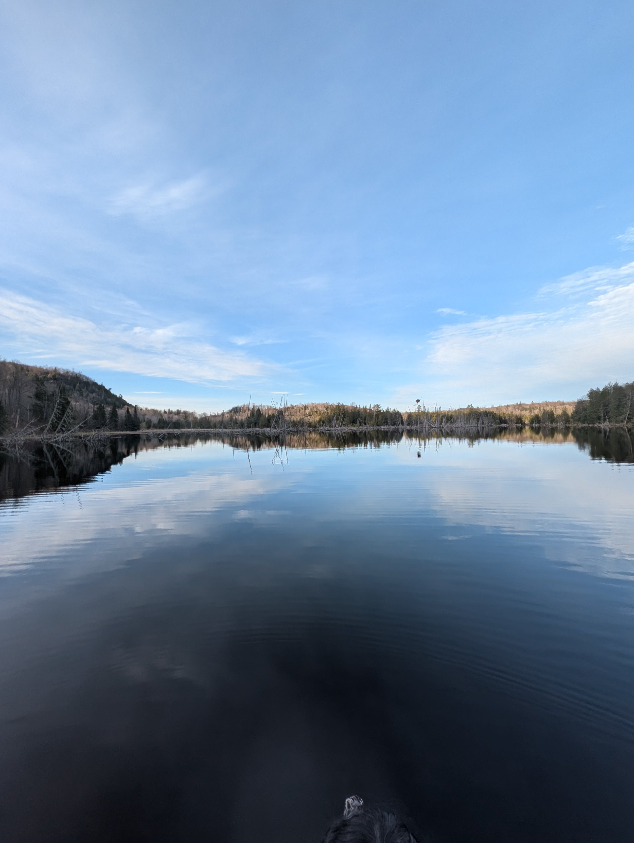 A serene lake reflecting the cloudy sky and distant tree-covered hills, with a small portion of a dog's nose visible at the bottom of the frame.