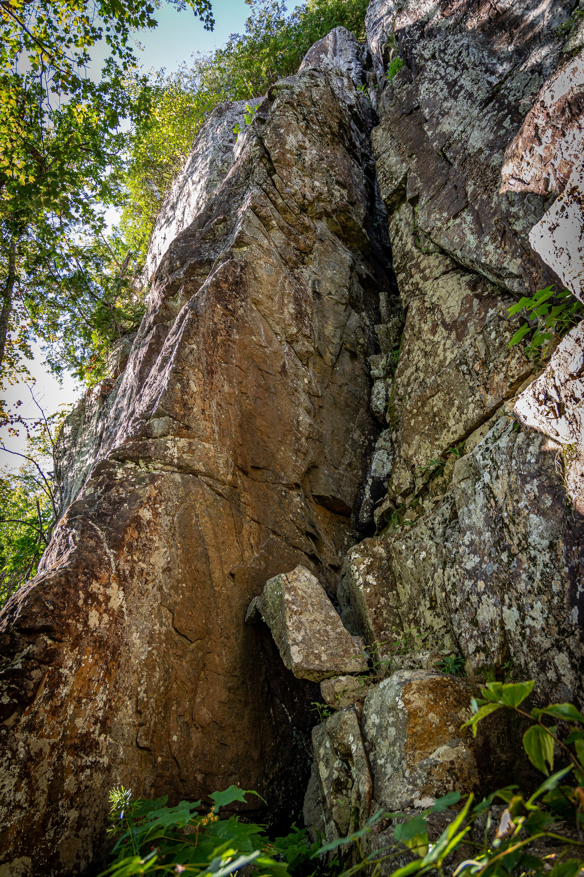 Large rocky cliff with green foliage around base and trees at the top, sunlight filtering through the leaves.