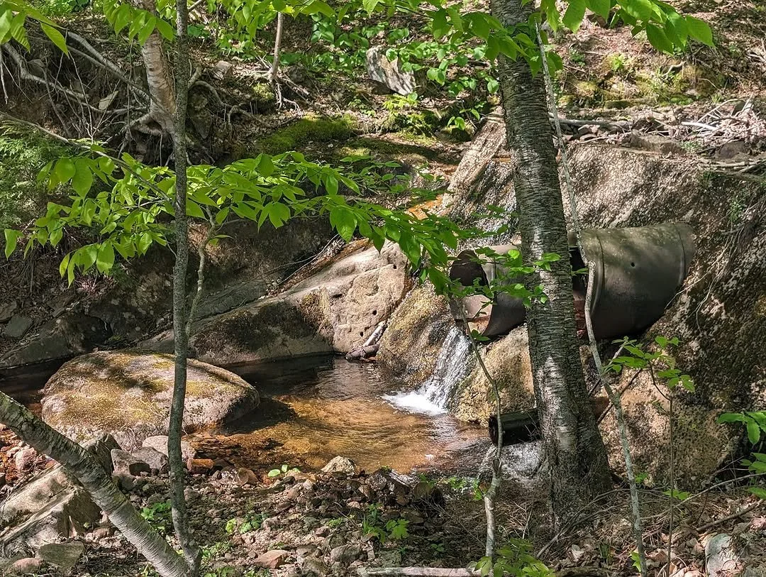 A small creek flowing through a forest with rocks, trees, and green foliage, and a black pipe extending from the hillside into the water.