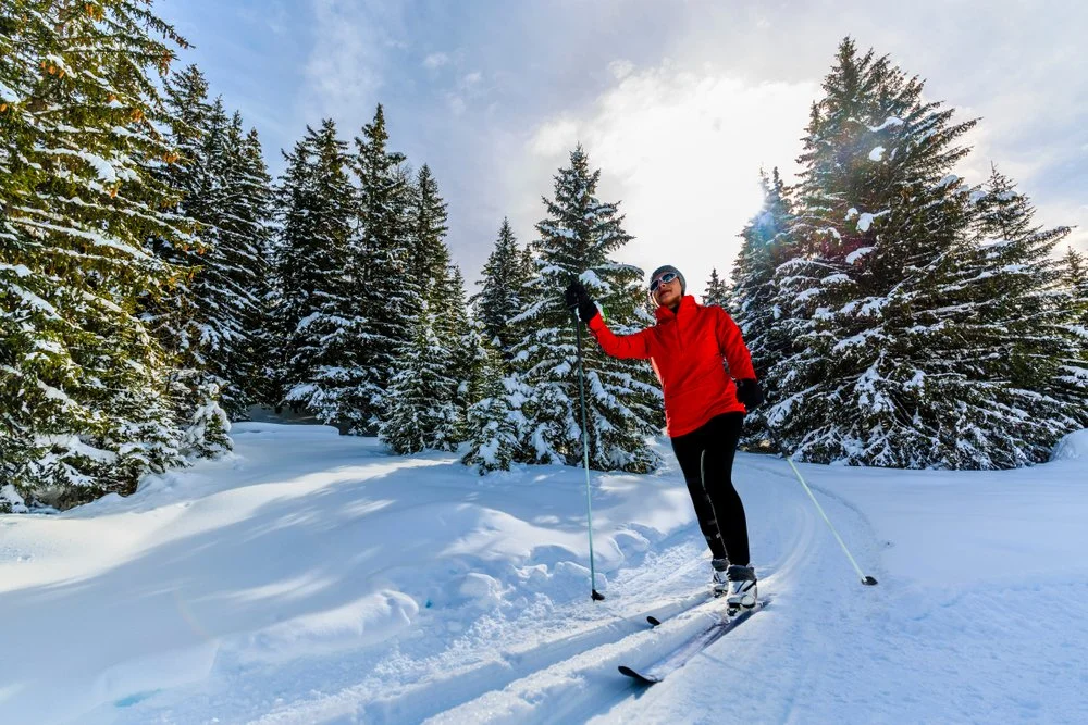A person in a red winter jacket, black pants, snow goggles, and a beanie, skiing on a snowy trail surrounded by pine trees covered in snow with a partly cloudy sky in the background.
