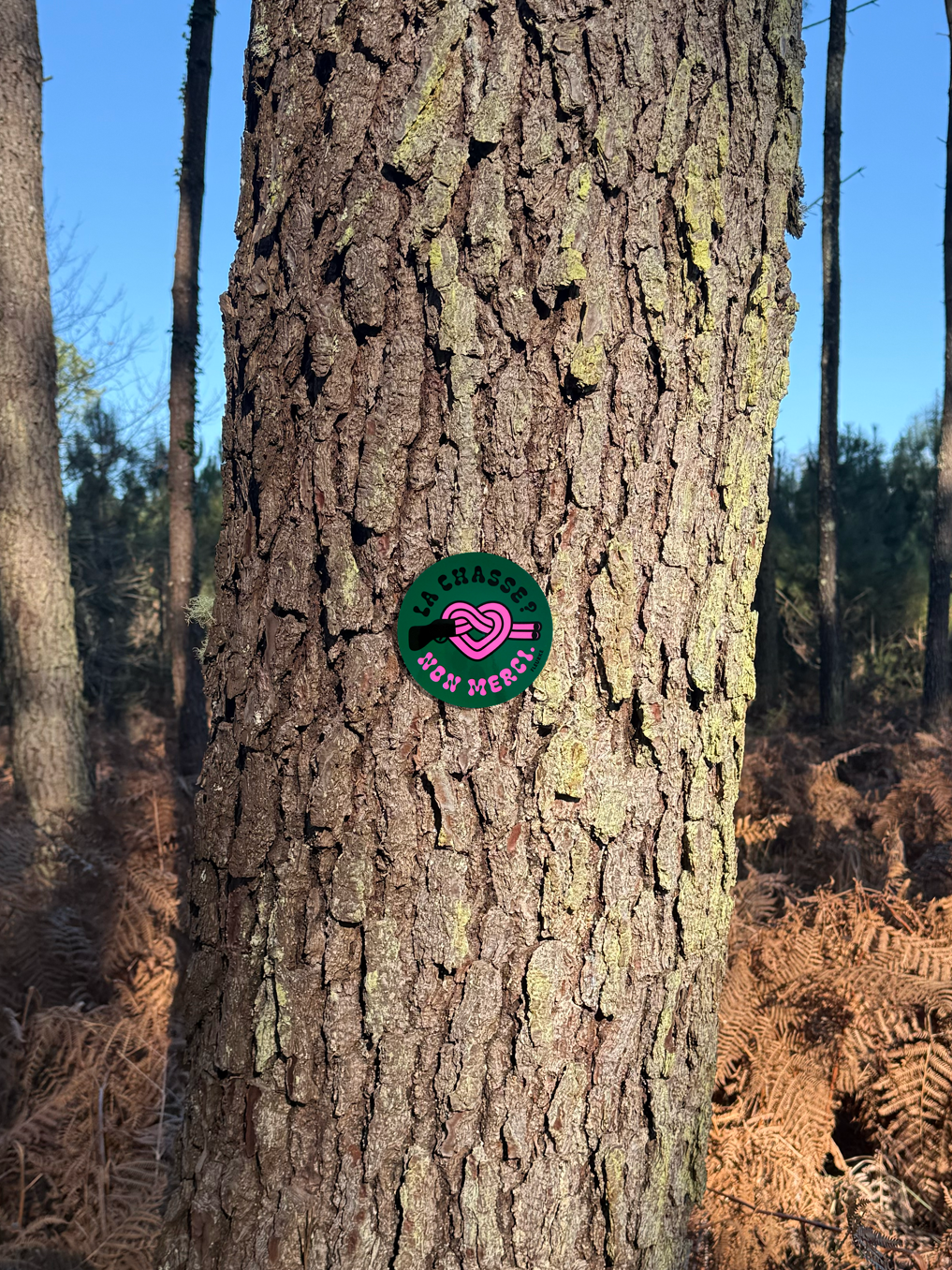 Chasse_Non_Merci_2.png