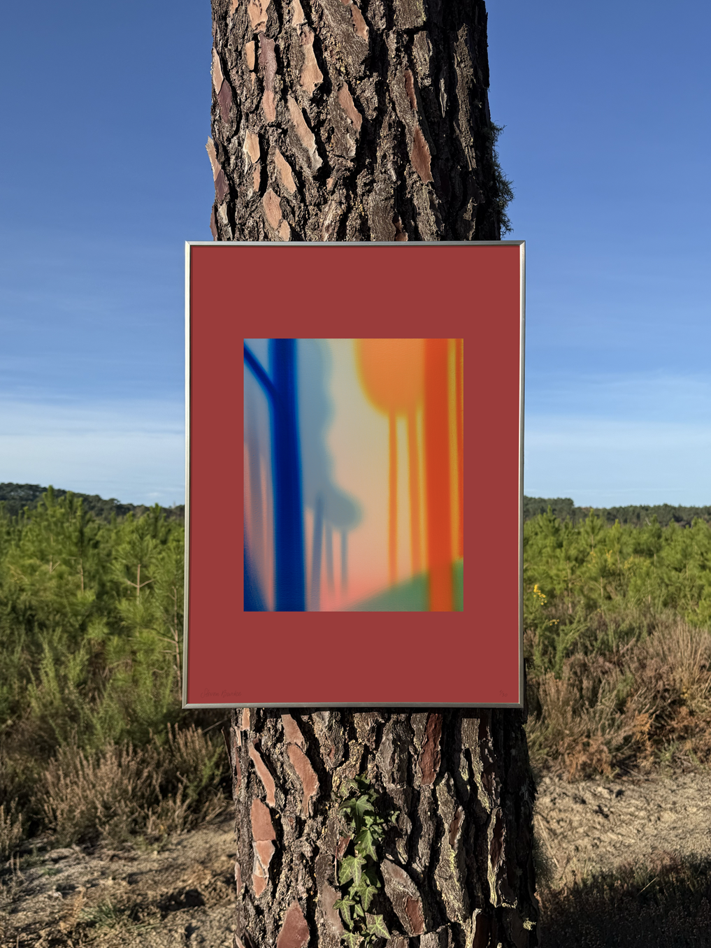 Réminiscence Brun Rouge