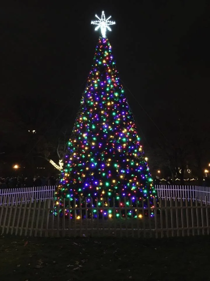 Hackley Park Tree.jpg