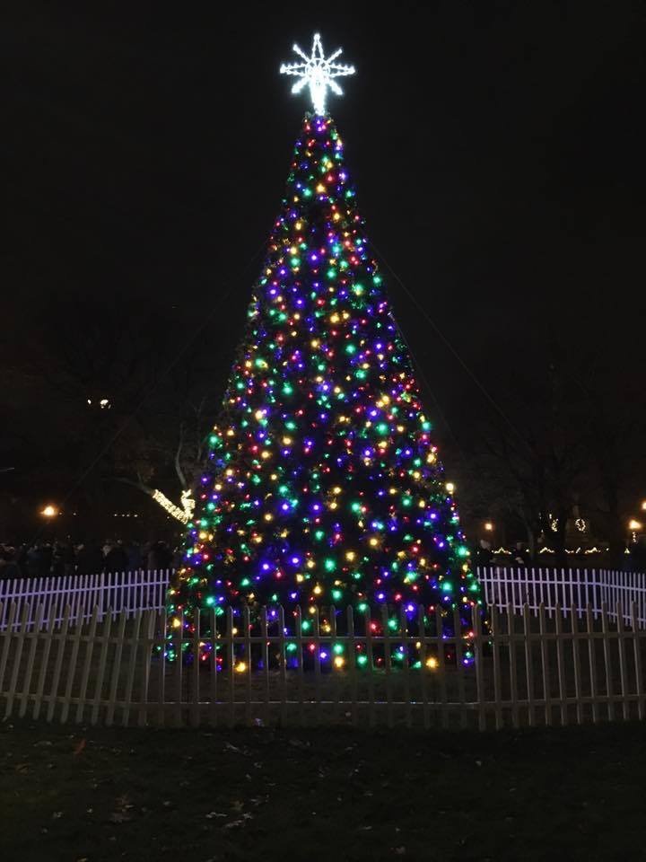 Hackley Park Tree.jpg