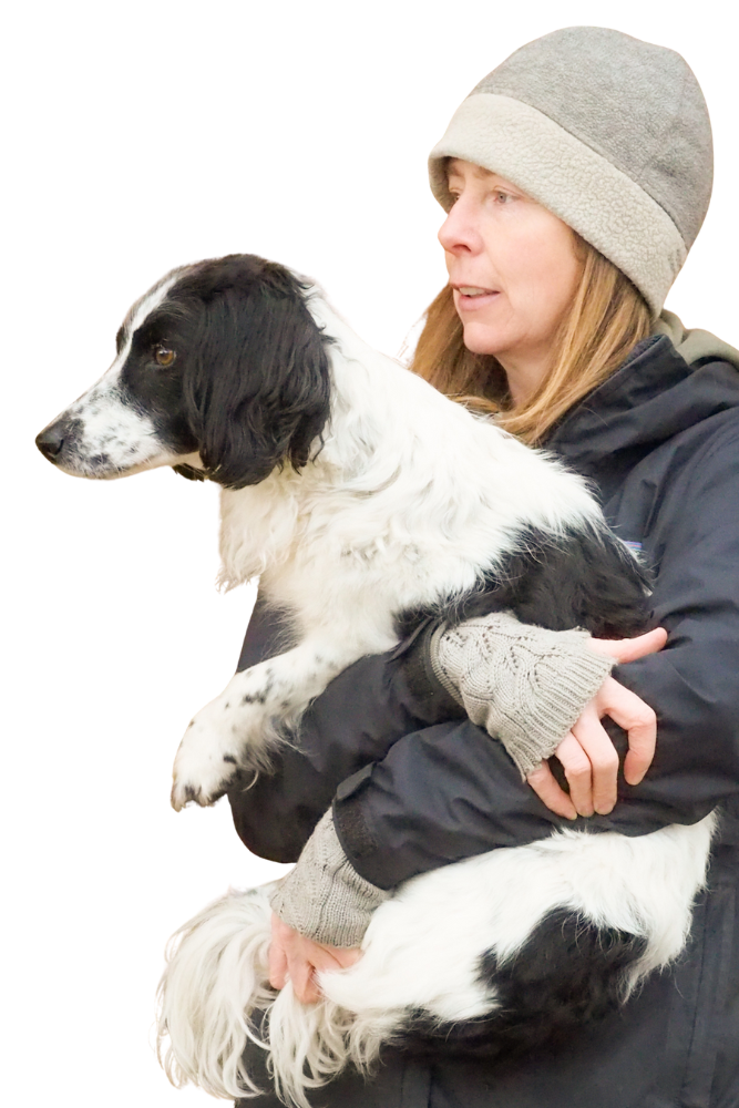 Lucy Daniels Dog Sitting Abergavenny Usk Chepstow Monmouth Pontypool