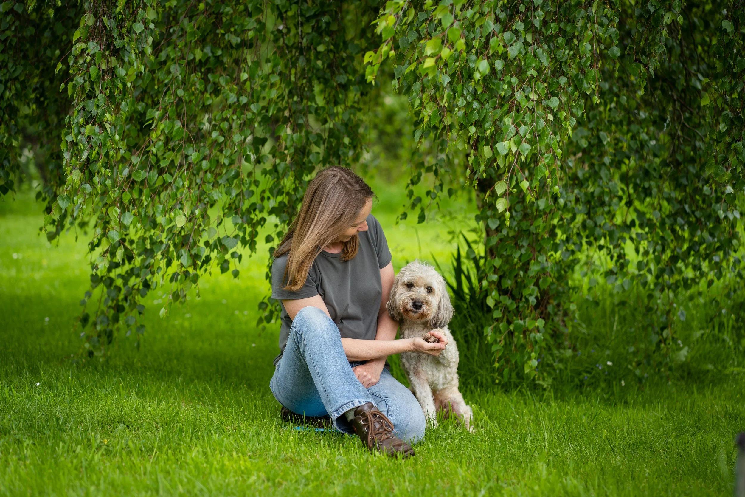 Lucy Daniels Dog Sitting Abergavenny Usk Chepstow Monmouth Pontypool