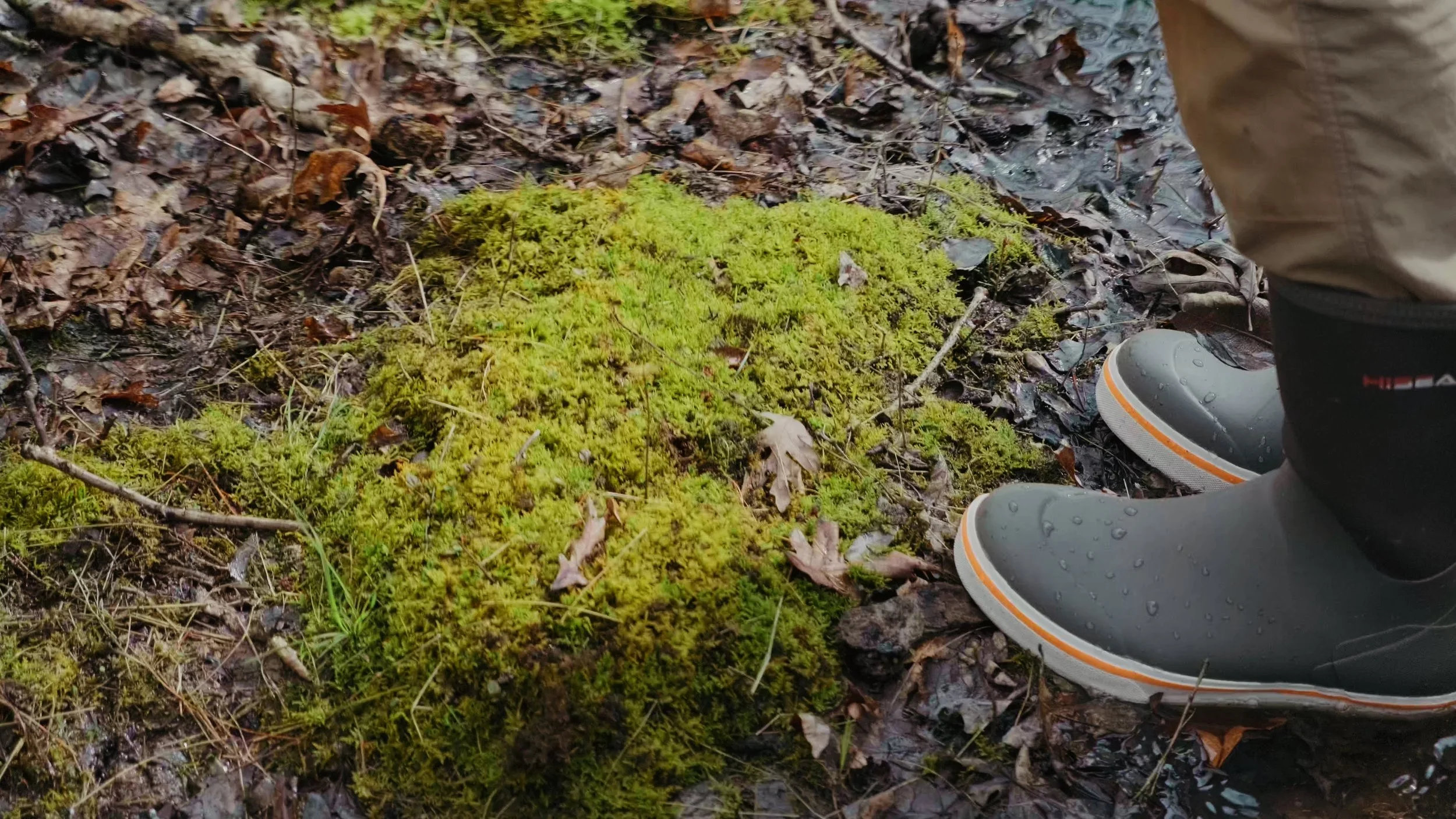 Person standing on a forest floor covered in brown leaves, wearing gray shoes with orange accents, near bright green moss patch.