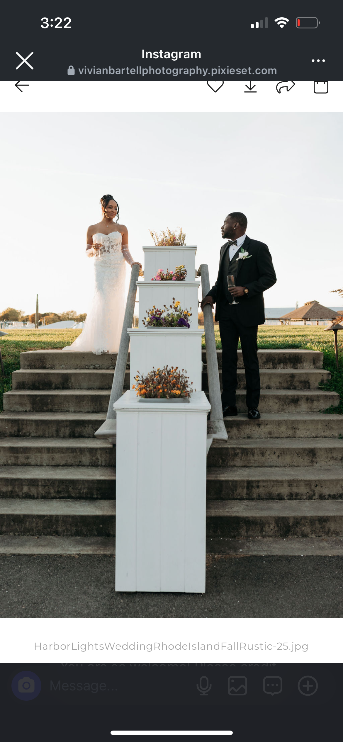 A bride and groom standing on outdoor steps during a wedding ceremony, holding glasses of champagne, with a tiered flower stand between them and a grassy area in the background.