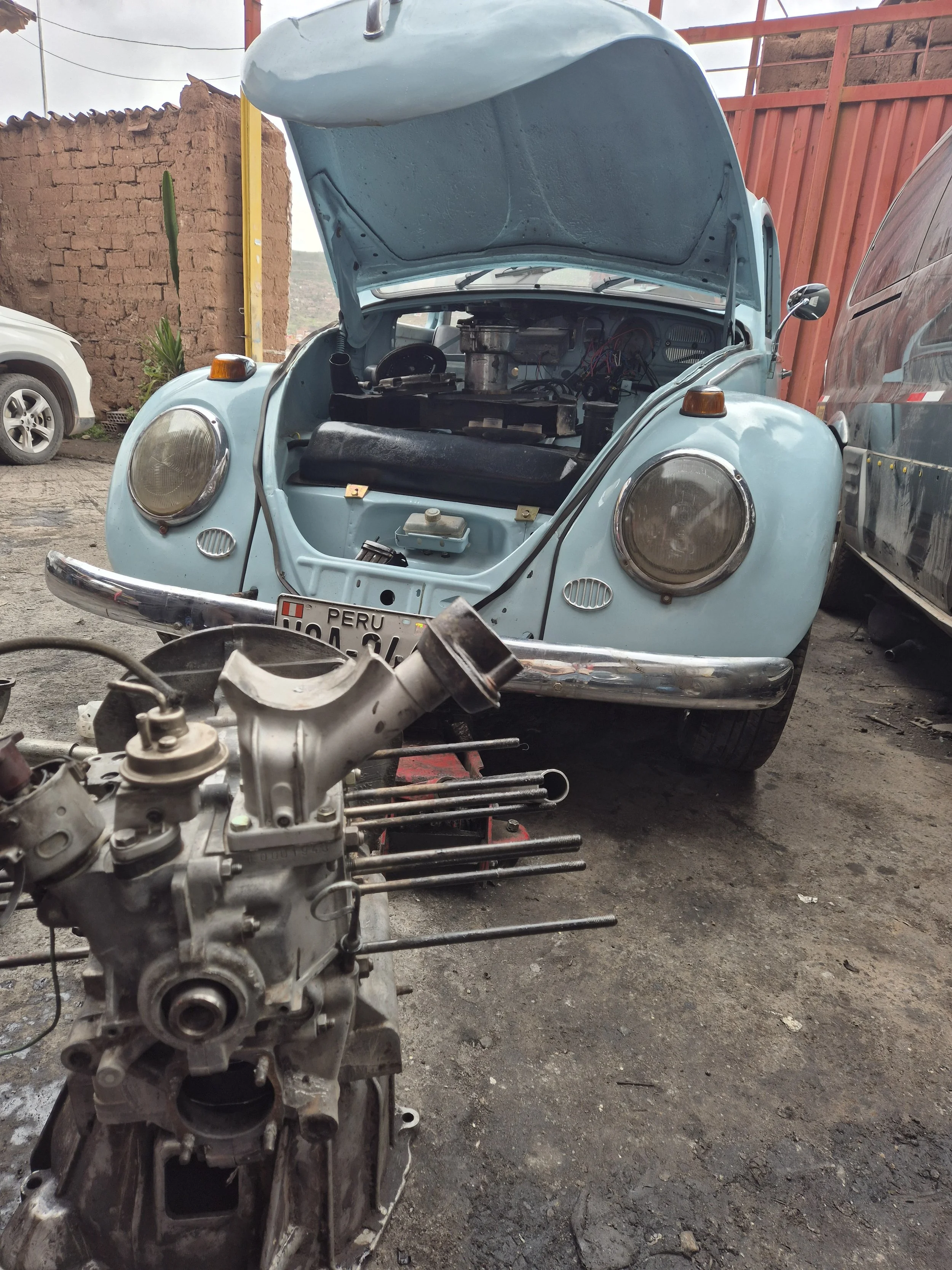 clean-engine-my-beetle-bug.jpg