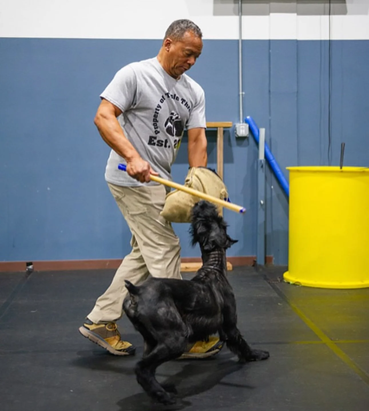 A landscape with snow-capped mountains in the background and a modern building on a grassy hillside in the foreground.