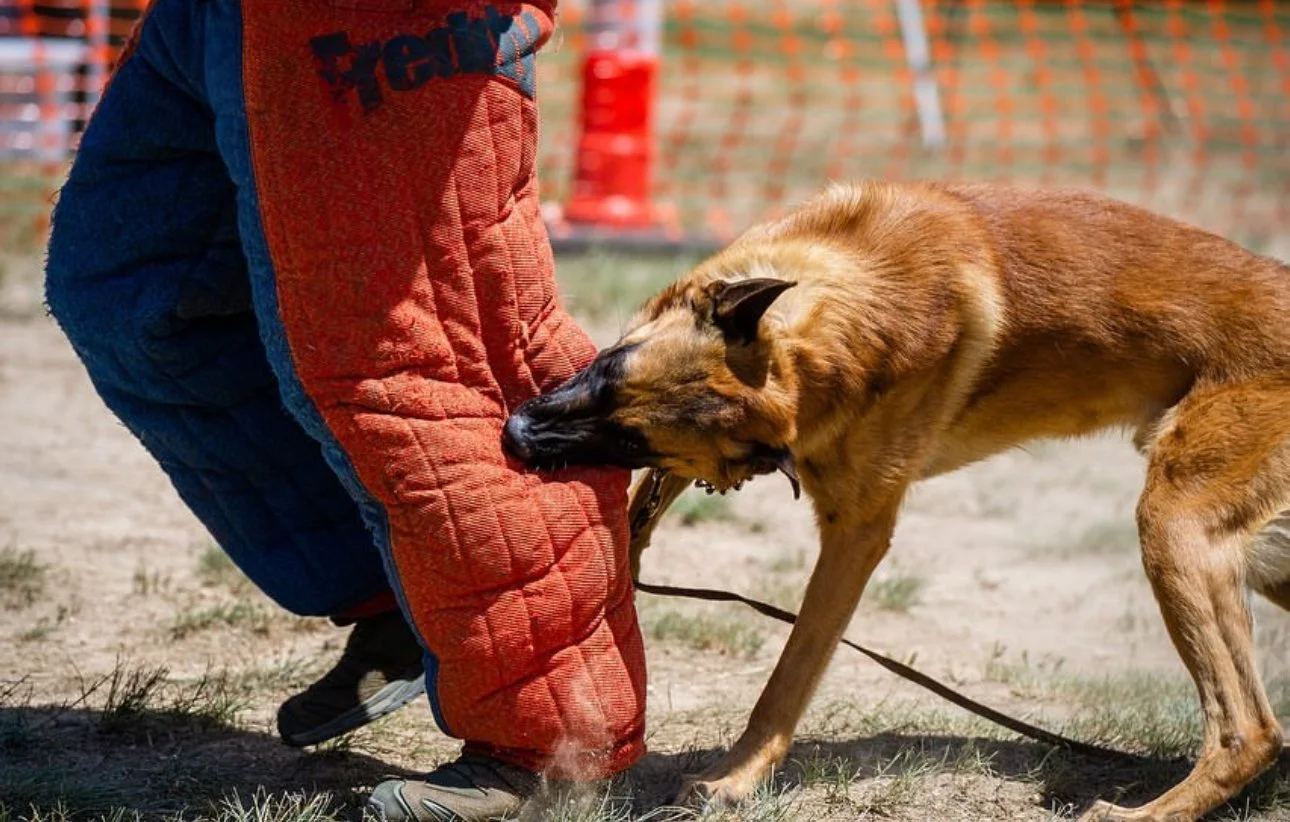 Modern building with wood and metal exterior, large glass window reflecting people inside, set against a mountainous landscape.