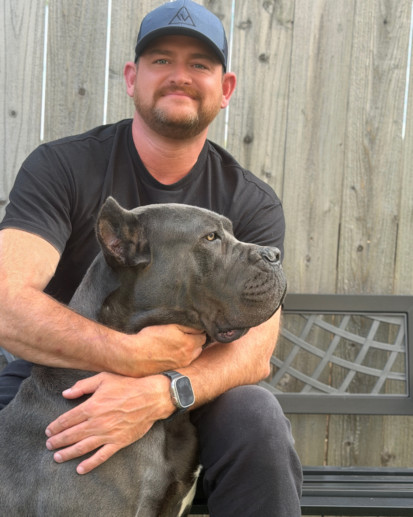 Estate protection Cane Corso