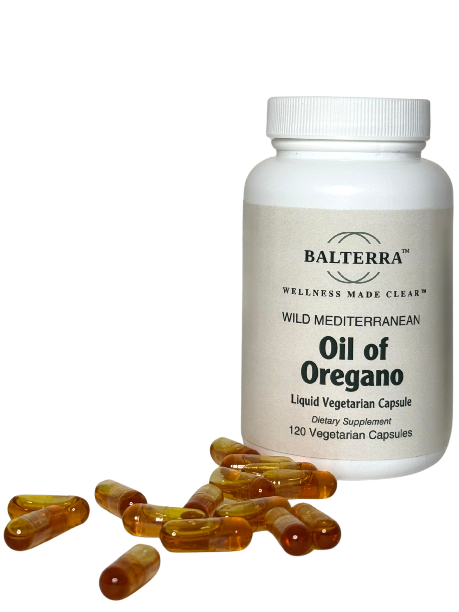 Untitled design (52).png