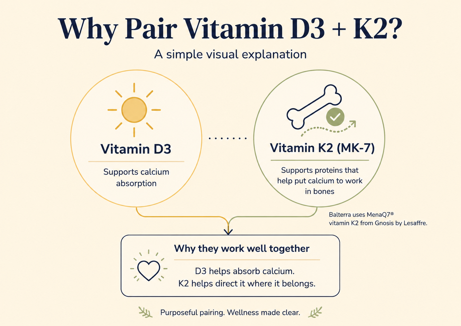 Infographic explaining why Balterra pairs vitamin D3 with vitamin K2 as MK-7. Vitamin D3 supports calcium absorption, while vitamin K2 supports proteins involved in bone health.
