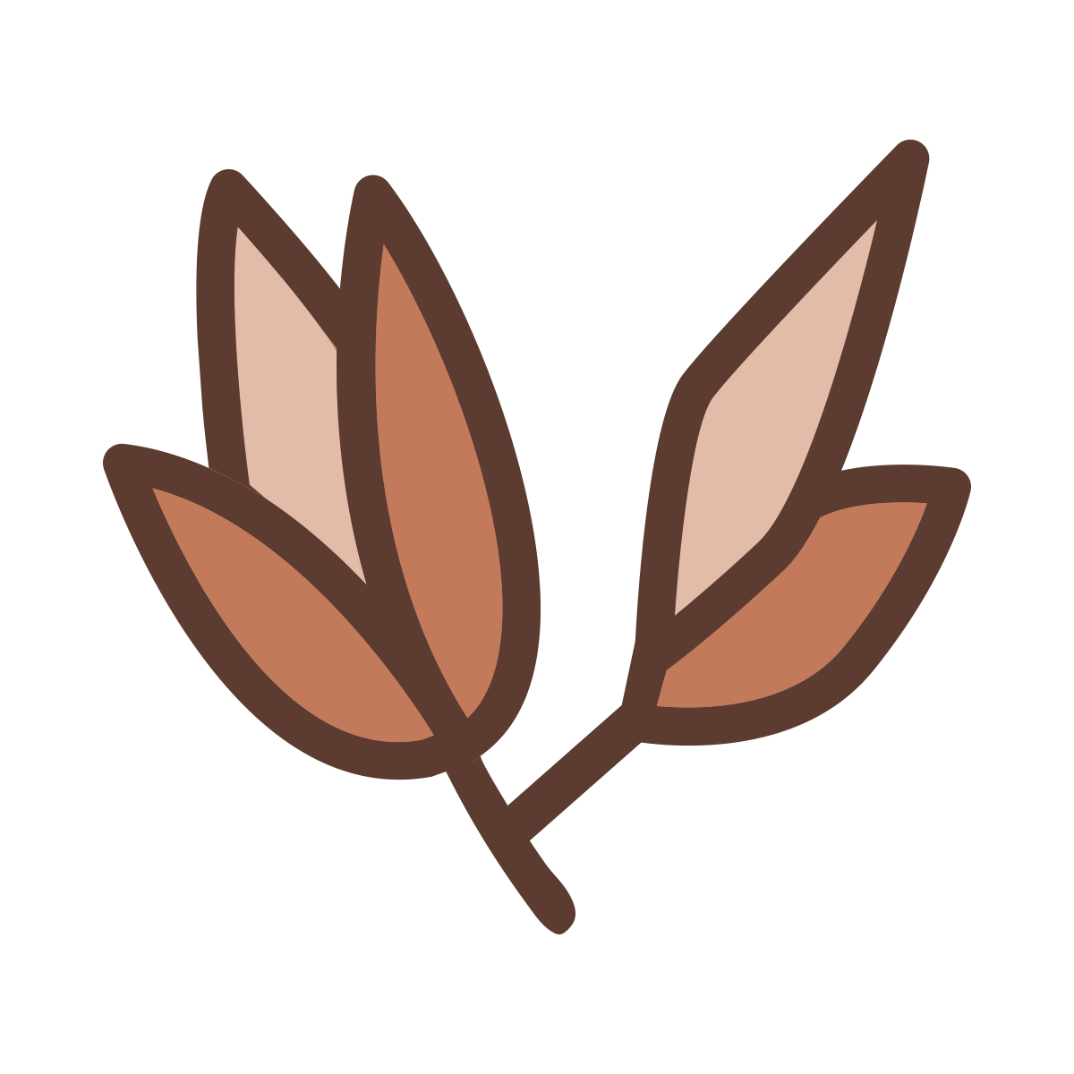 AVN_Baby_Oat_plant.gif