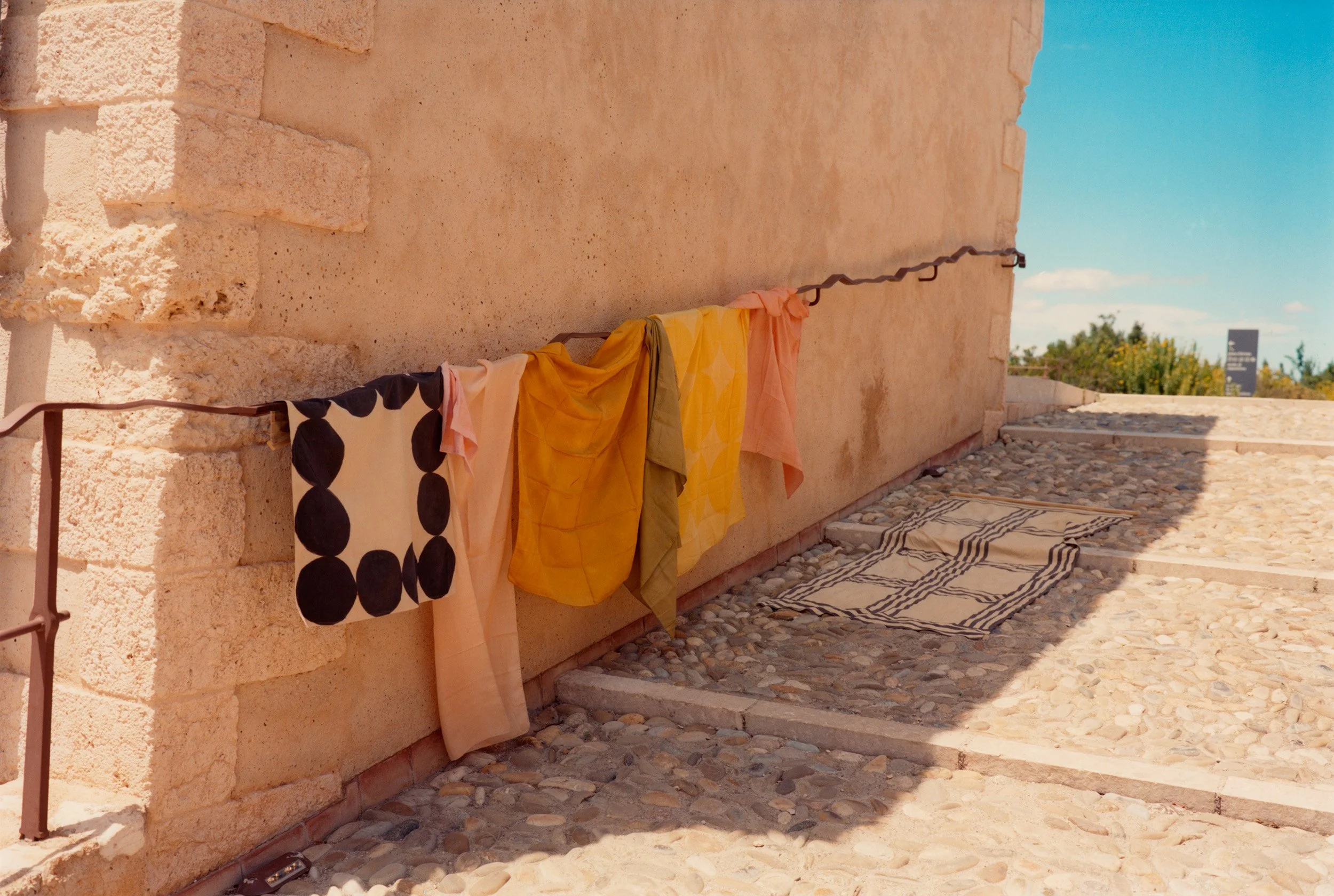 CarinaLammers1407 (11) 1.jpg