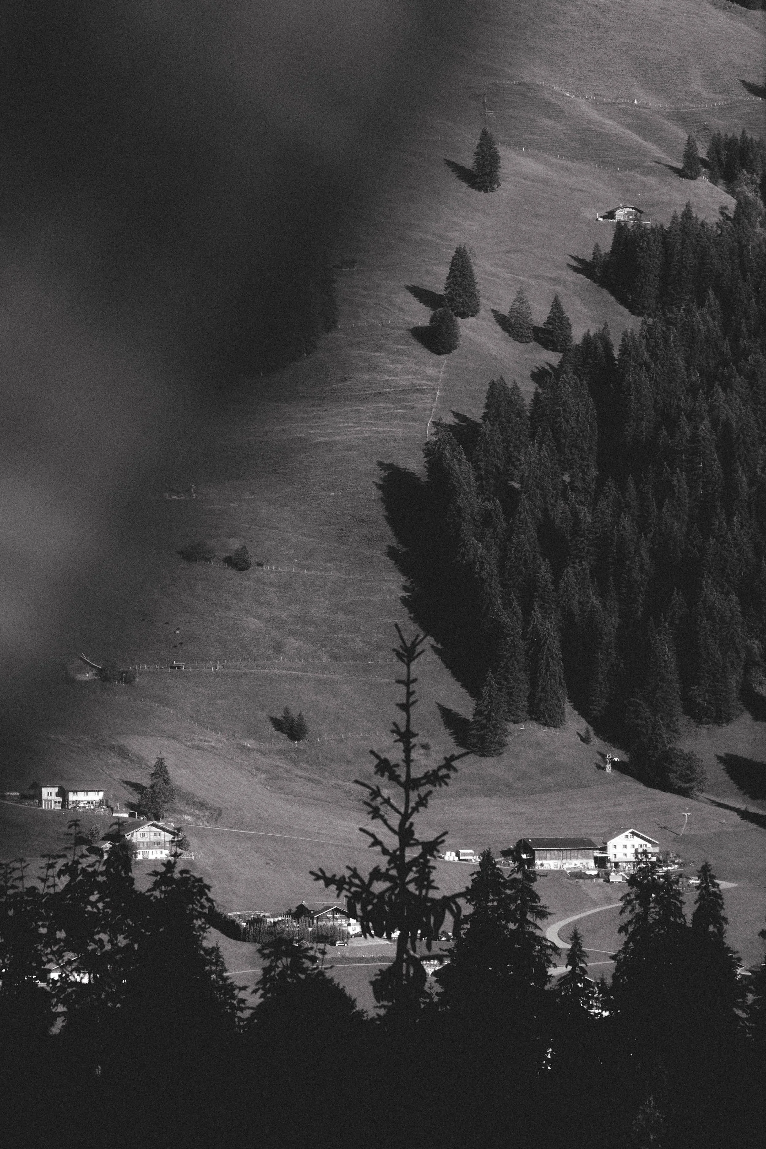 260820_Switzerland_CL_151 1.jpg