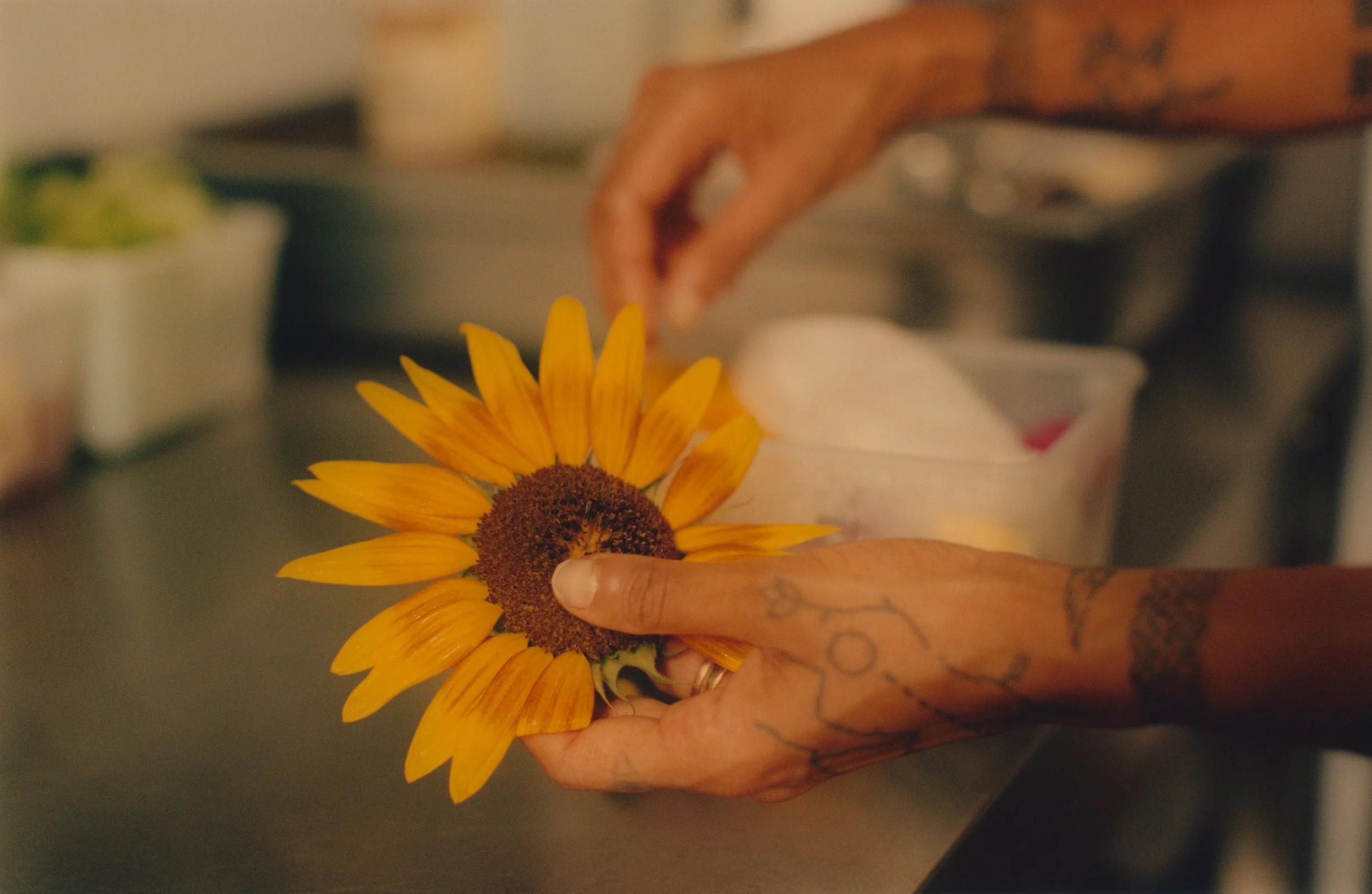 CarinaLammers (4).jpg