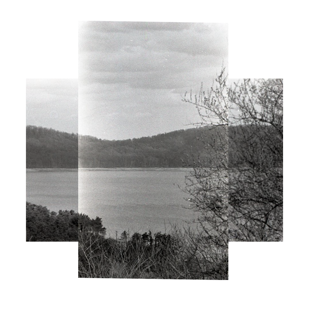 Composite Landscape 5.PNG