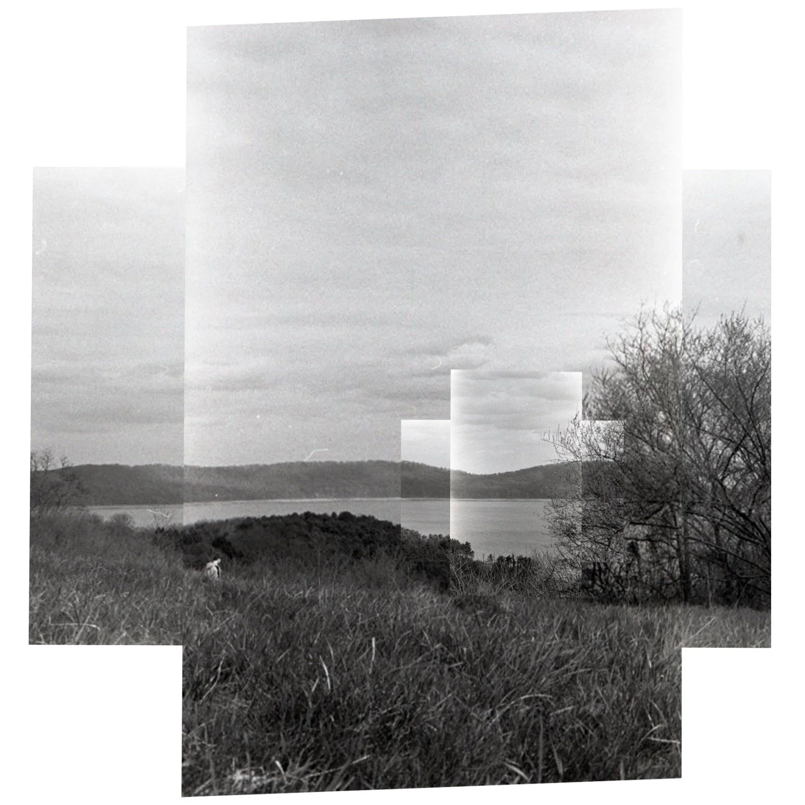 Composite Landscape 4.JPEG