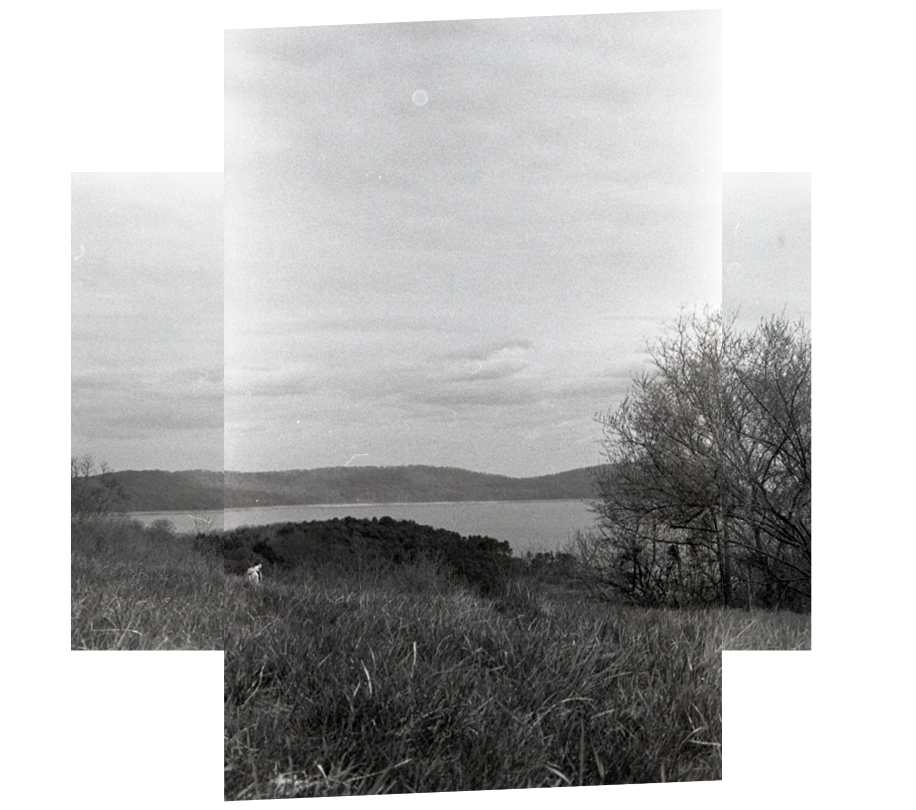 composite landscape 4.PNG