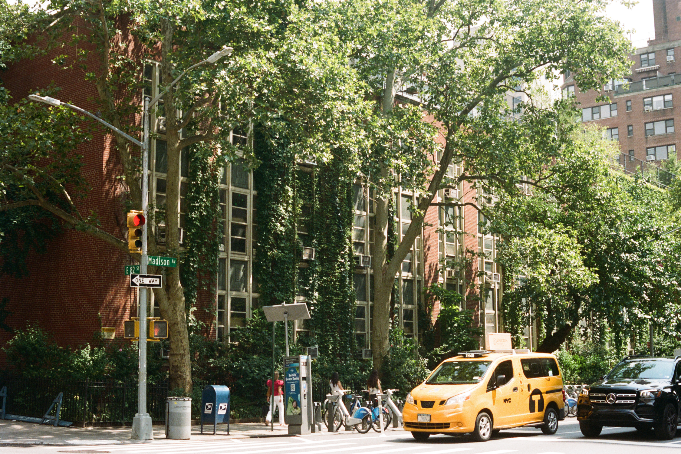 Untitled design (17).png