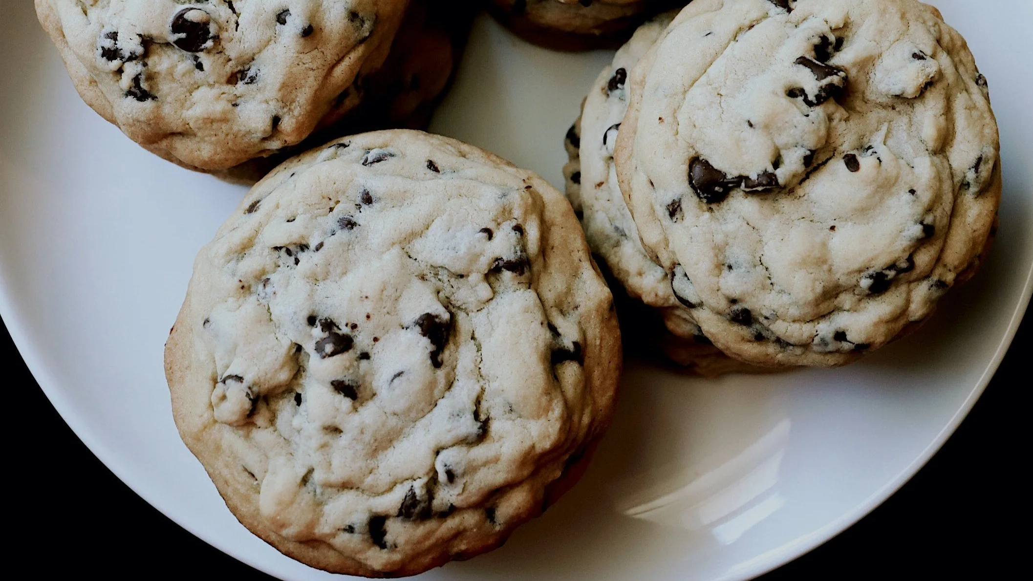 Chocolate+Chip.png