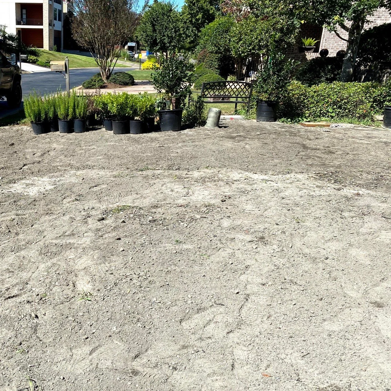 front yard 1.jpg