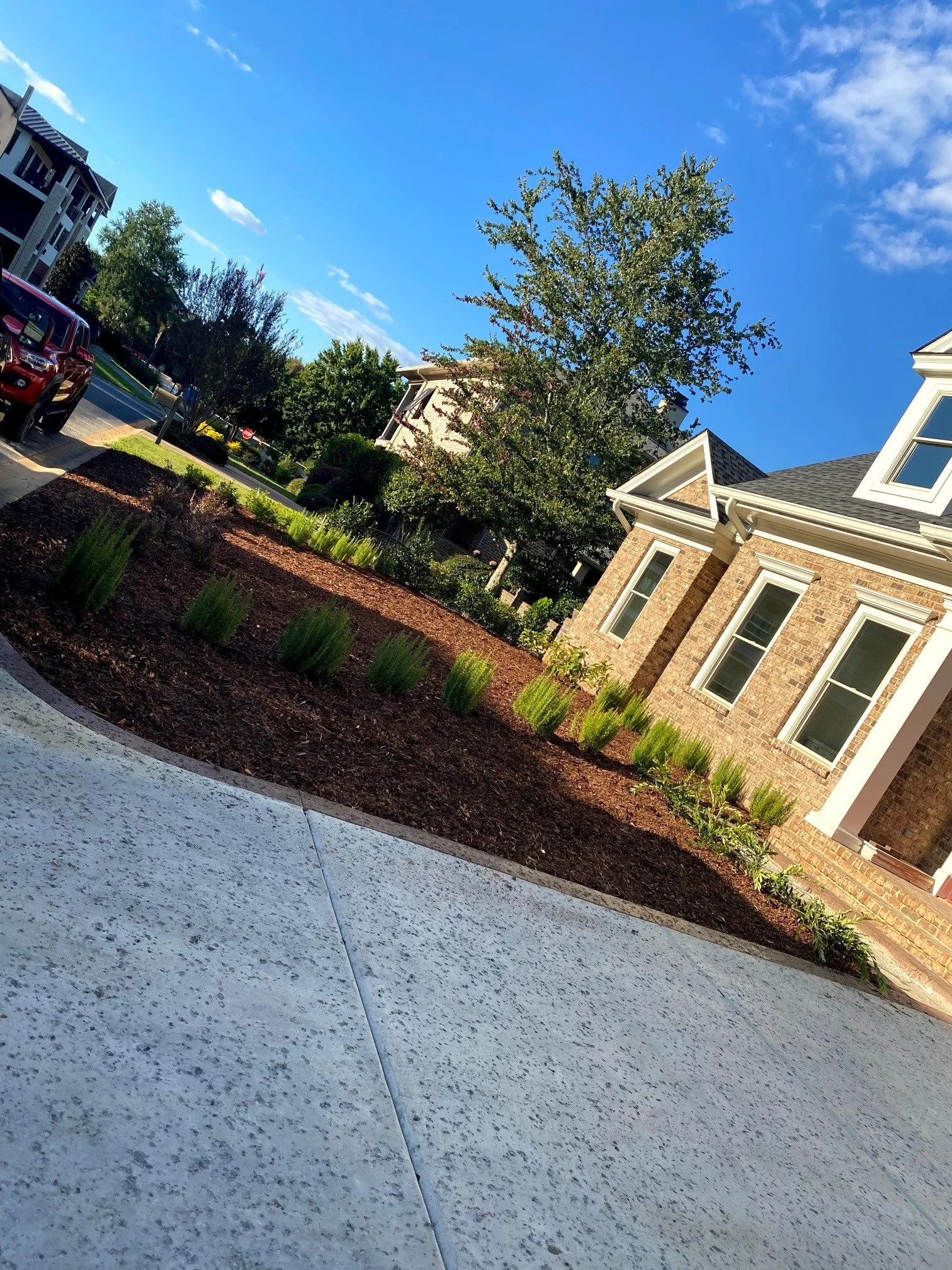 front yard 5.jpg