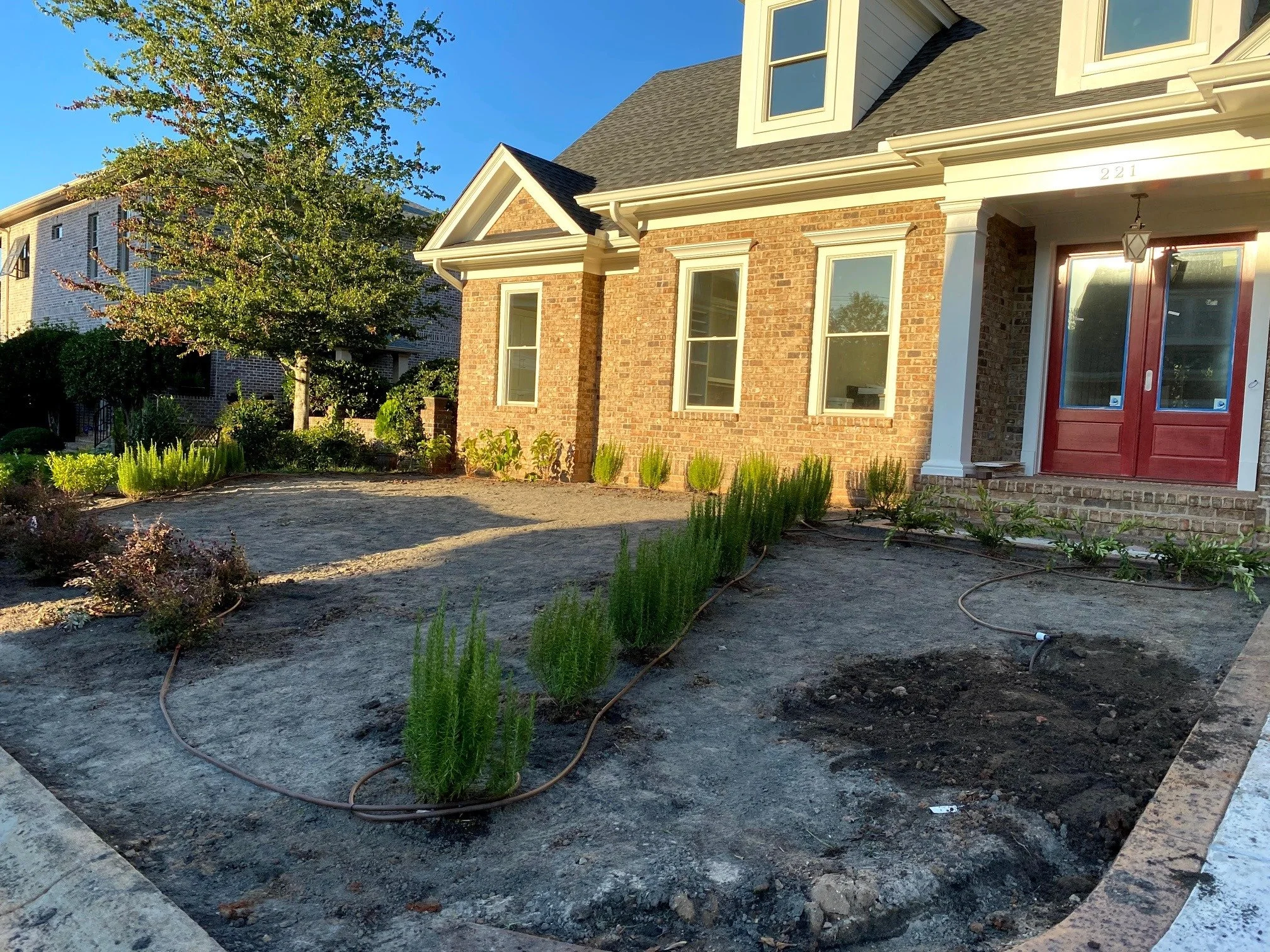 front yard 4.jpg