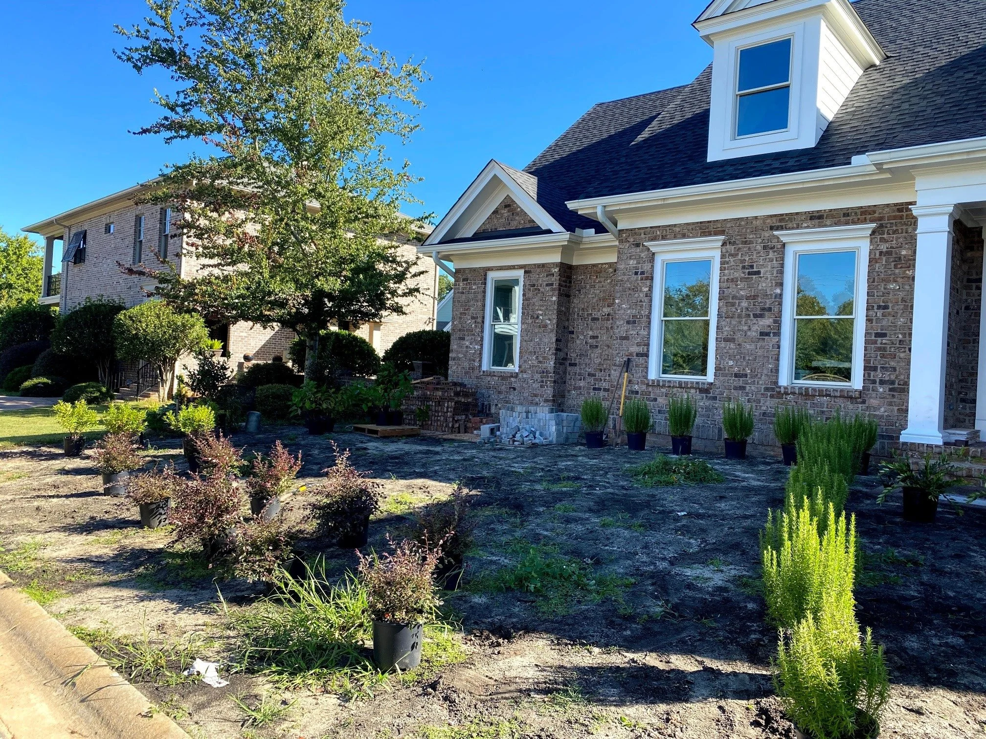 front yard 2.jpg