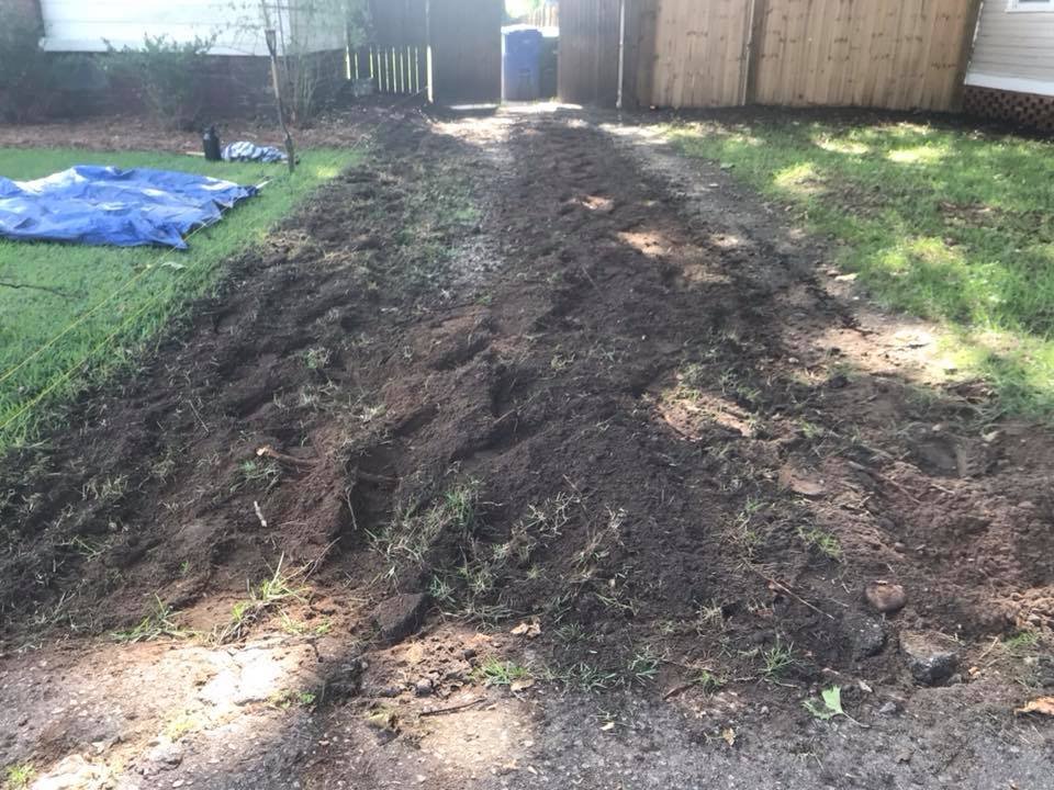driveway 2.jpg